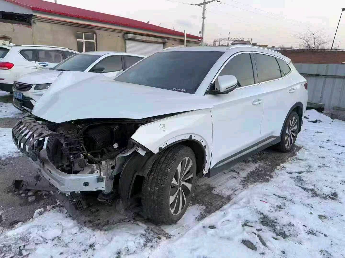 哈尔滨市24年比亚迪宋plus