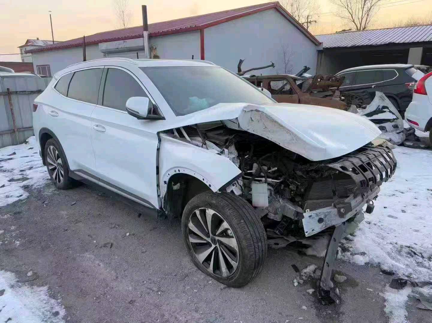 哈尔滨市24年比亚迪宋plus7