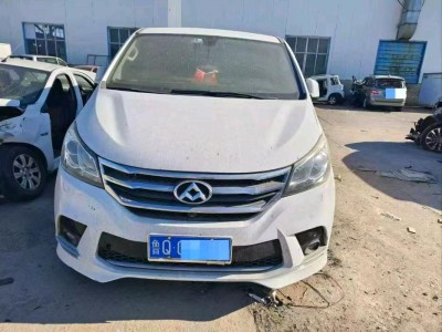 日照市18年上汽集团大通