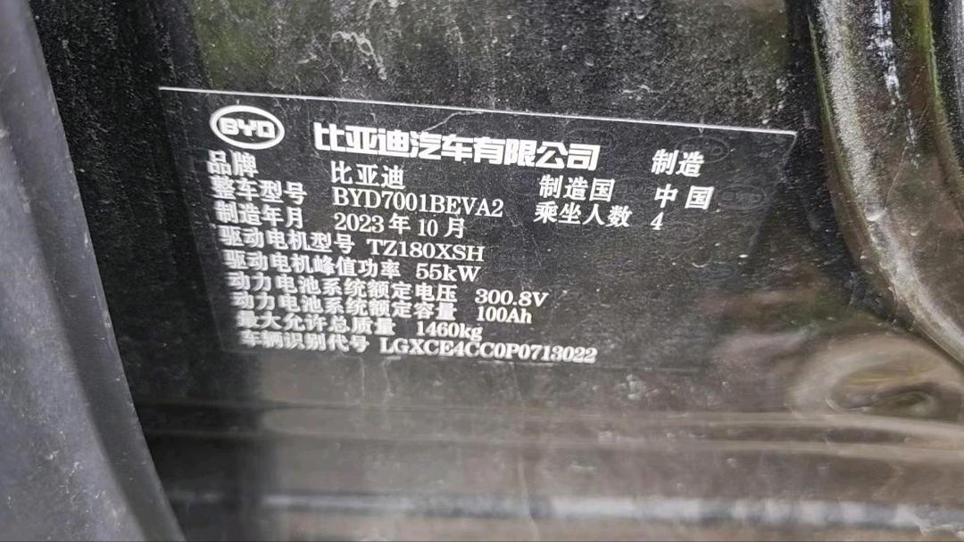 广东24年比亚迪海鸥9