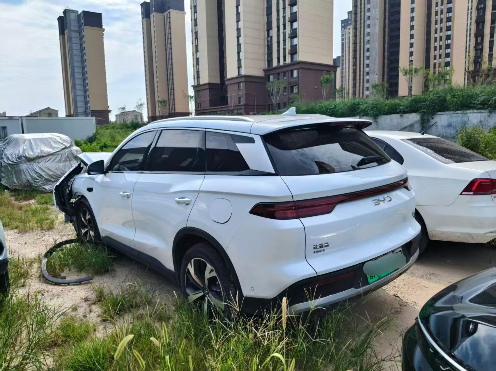 山东25年比亚迪宋8