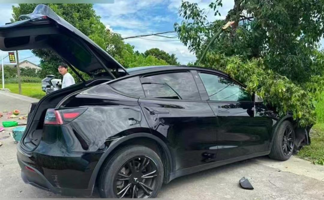 绍兴市23年特斯拉MODEL Y8