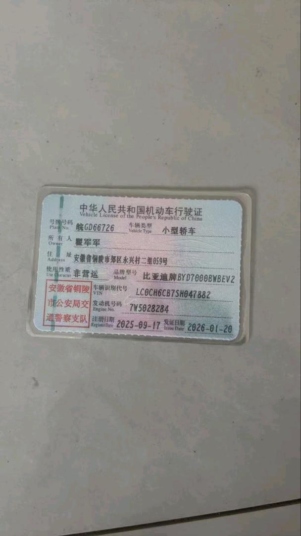 郑州市25年比亚迪海豹10