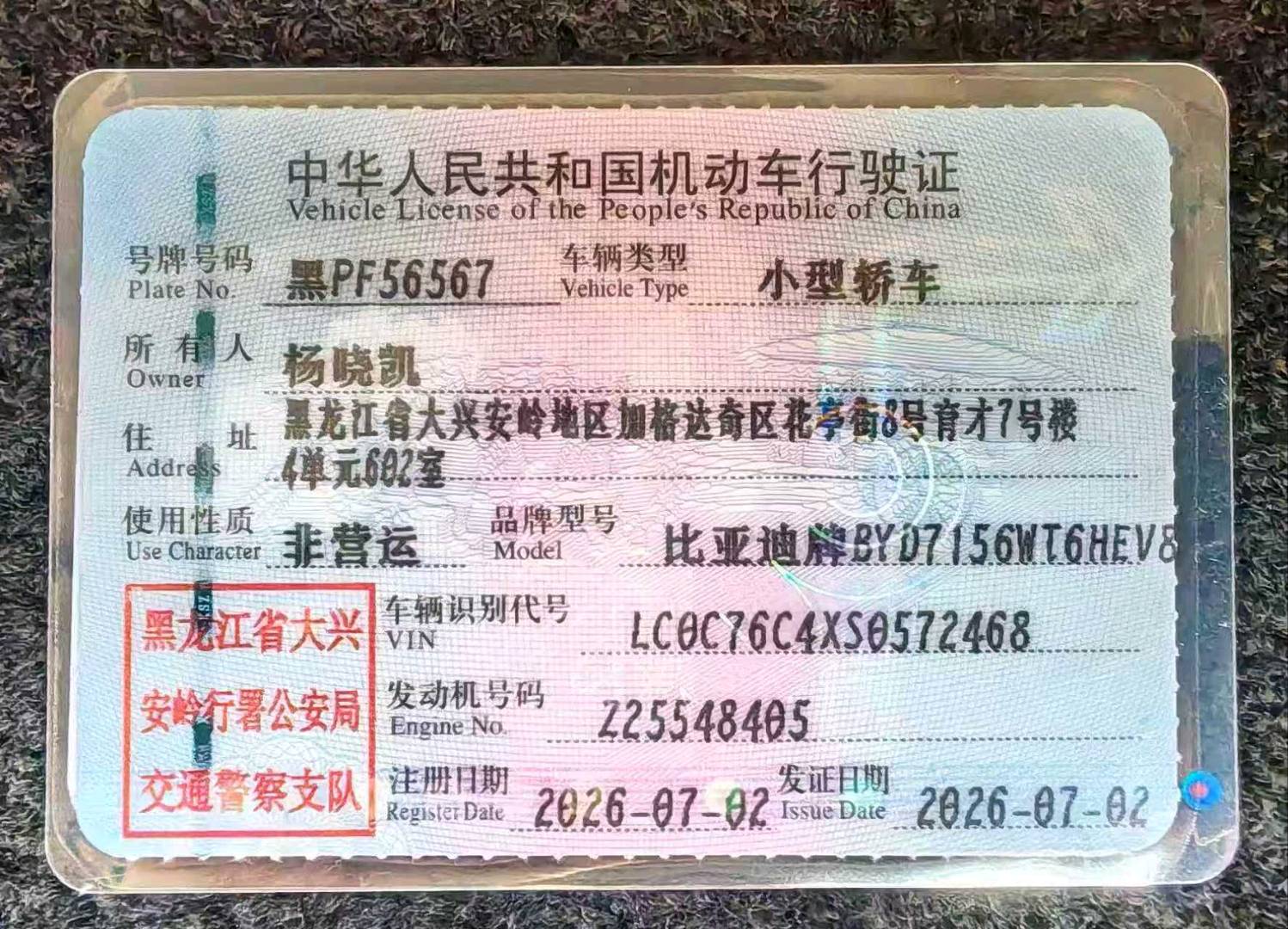哈尔滨市26年比亚迪海豹11