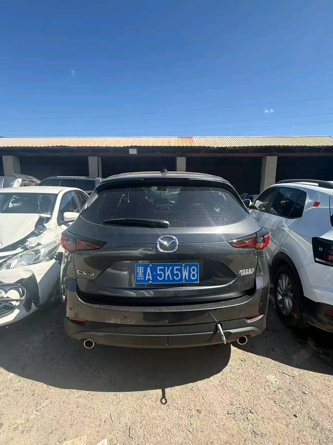 哈尔滨市25年马自达CX-55