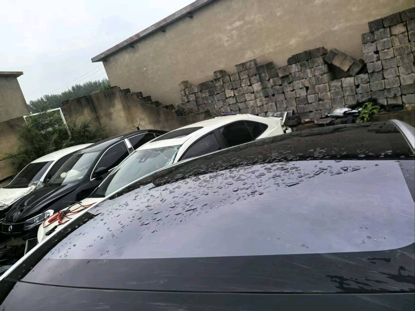 沈阳市25年特斯拉MODEL Y11