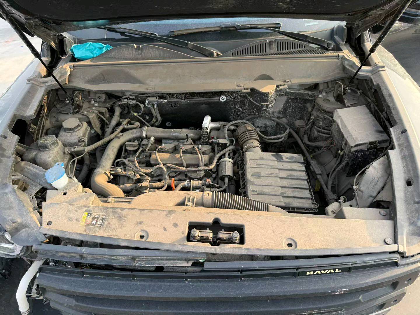 沈阳市25年长城哈弗猛龙9