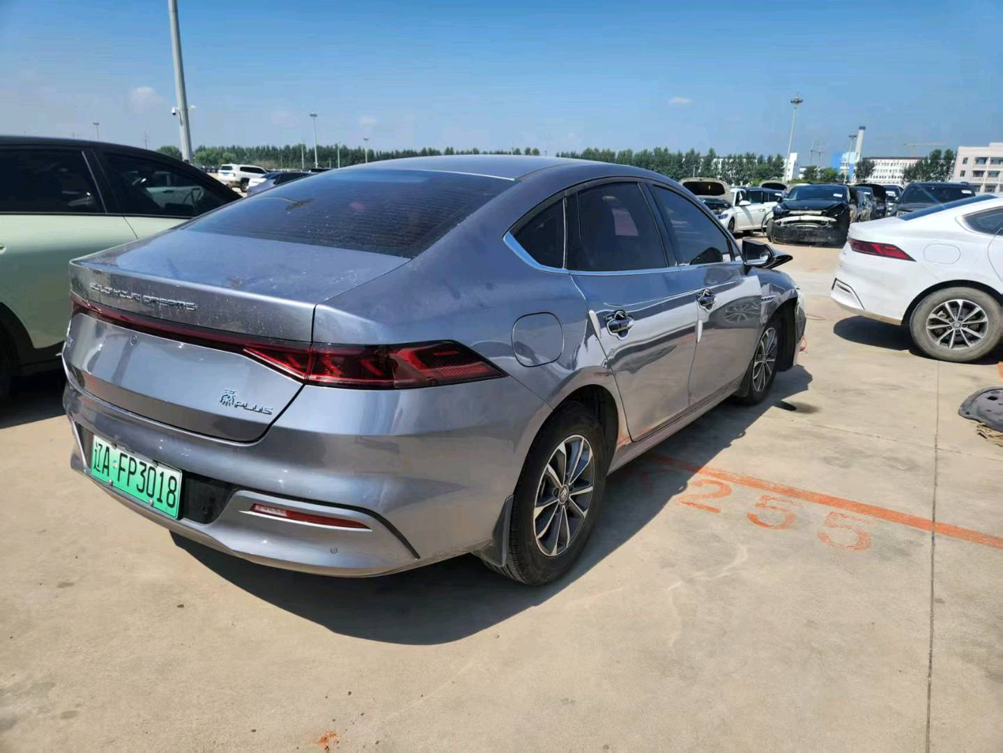 沈阳市24年比亚迪秦PLUS6