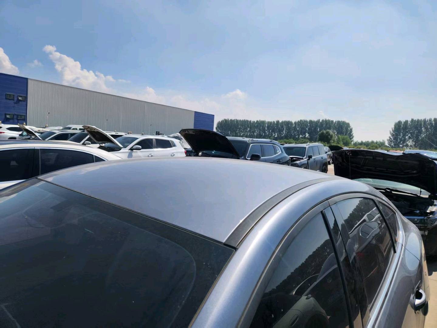 沈阳市24年比亚迪秦PLUS8