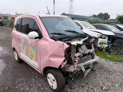 长春市25年奔腾小马