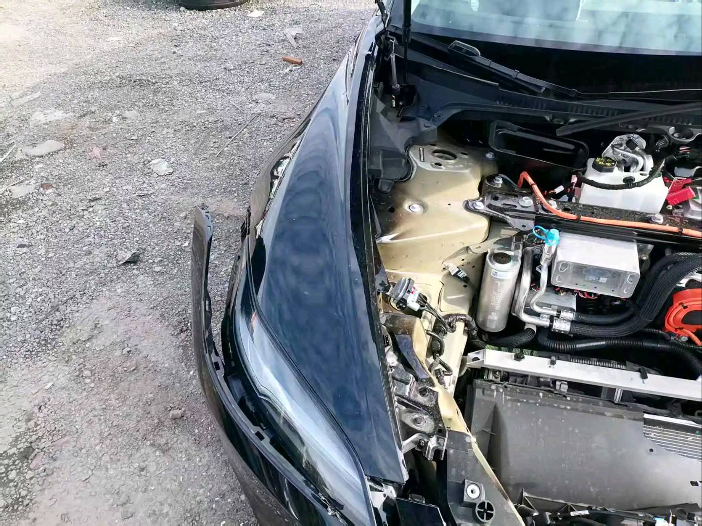 上海26年特斯拉MODEL 311
