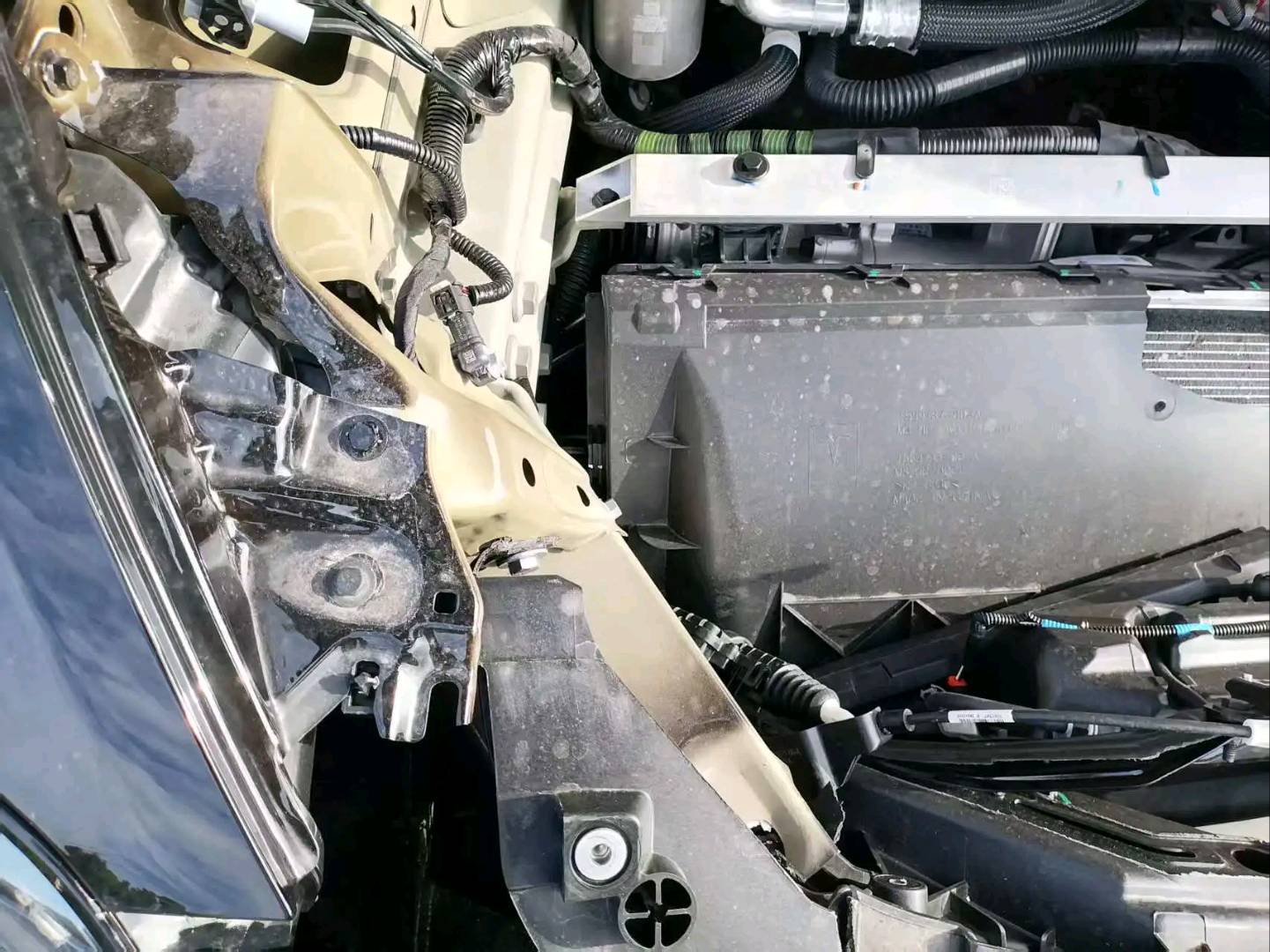 上海26年特斯拉MODEL 39