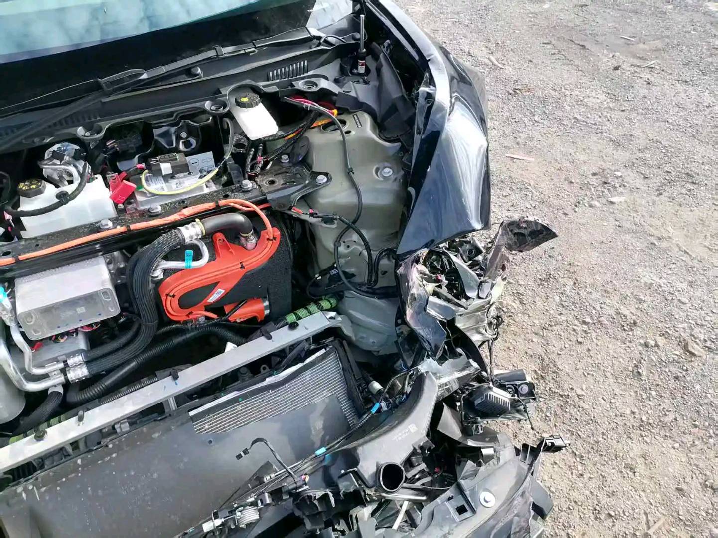 上海26年特斯拉MODEL 38