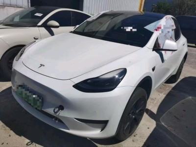 上海24年特斯拉MODEL Y
