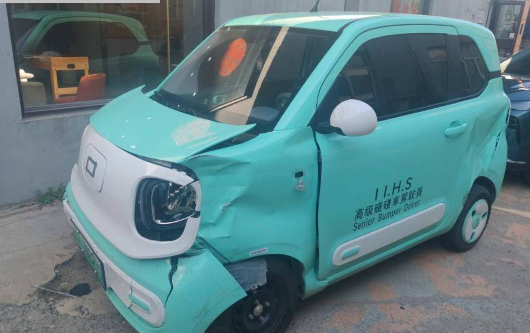 沈阳市24年奔腾小马