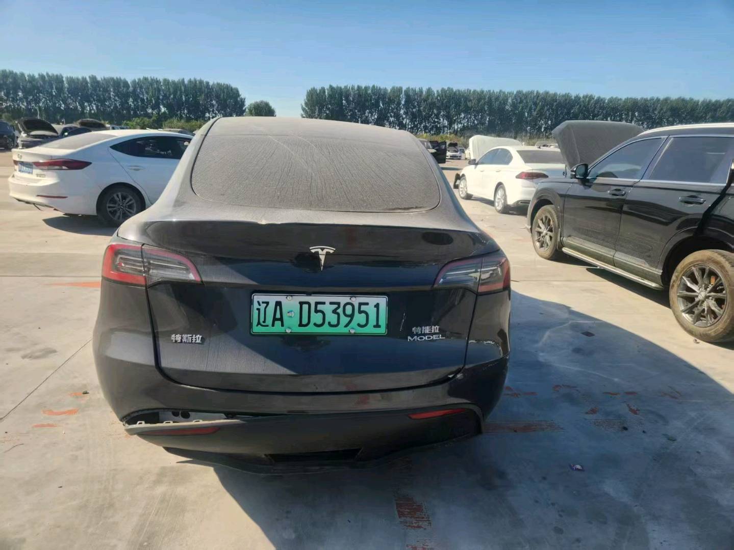沈阳市24年特斯拉MODEL Y5