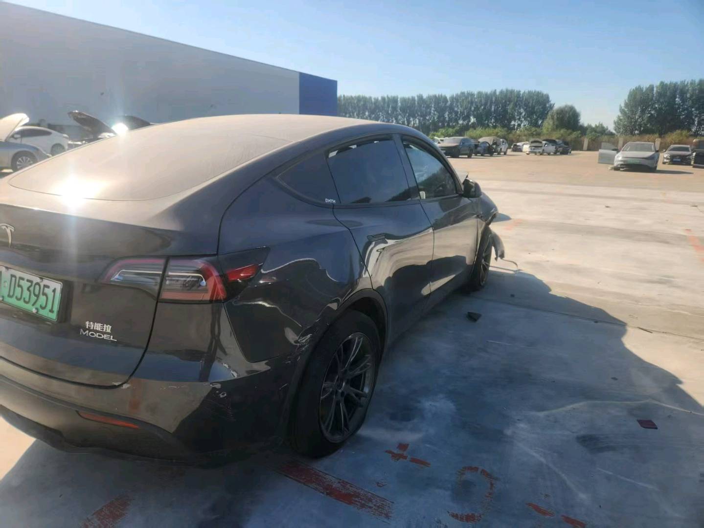 沈阳市24年特斯拉MODEL Y6