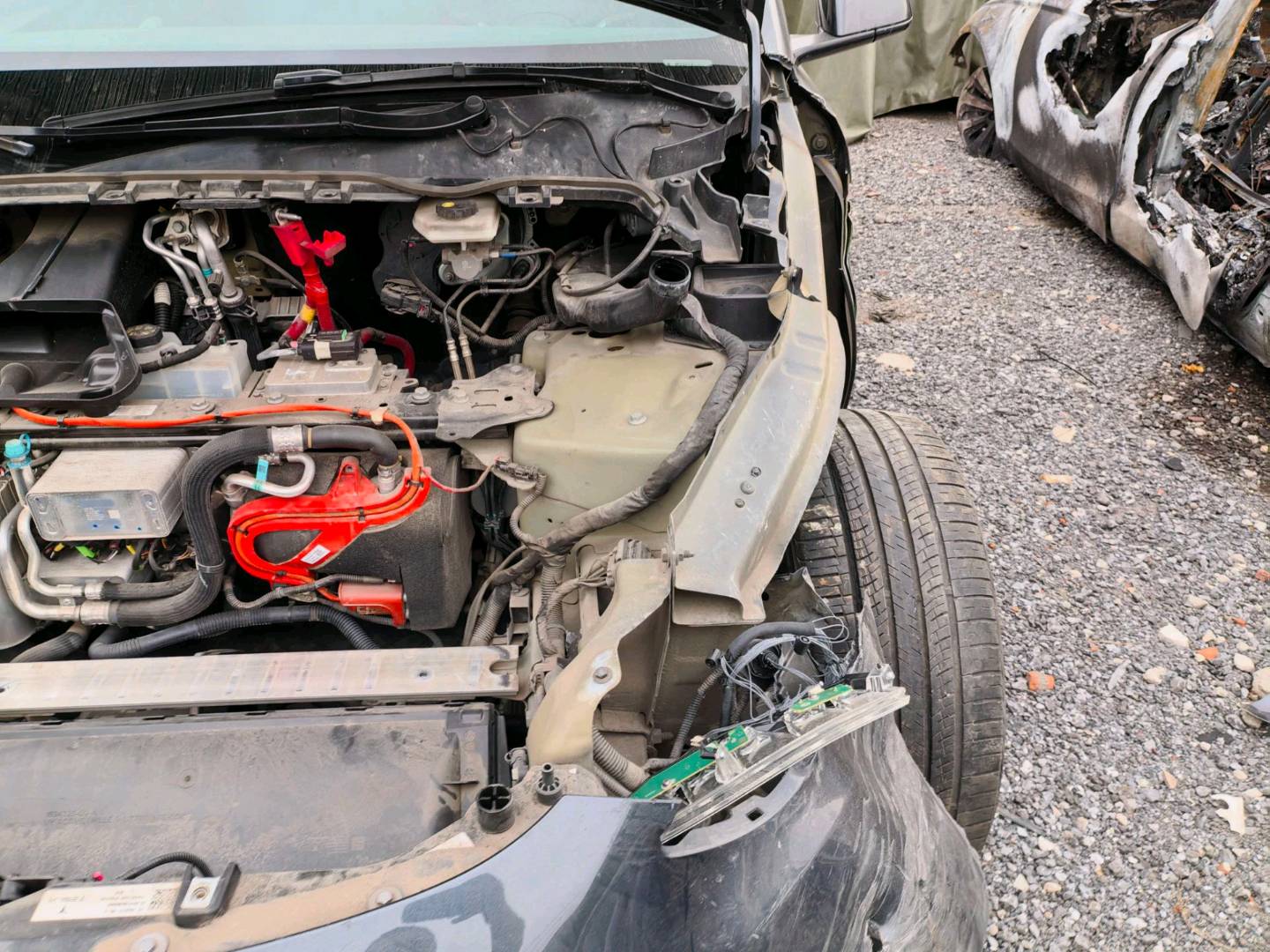 杭州市24年特斯拉MODEL Y28