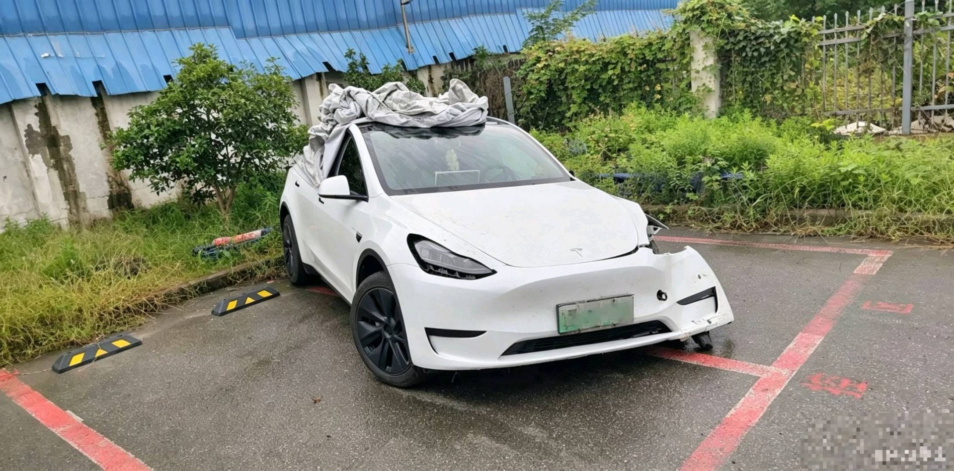 江苏24年特斯拉MODEL Y