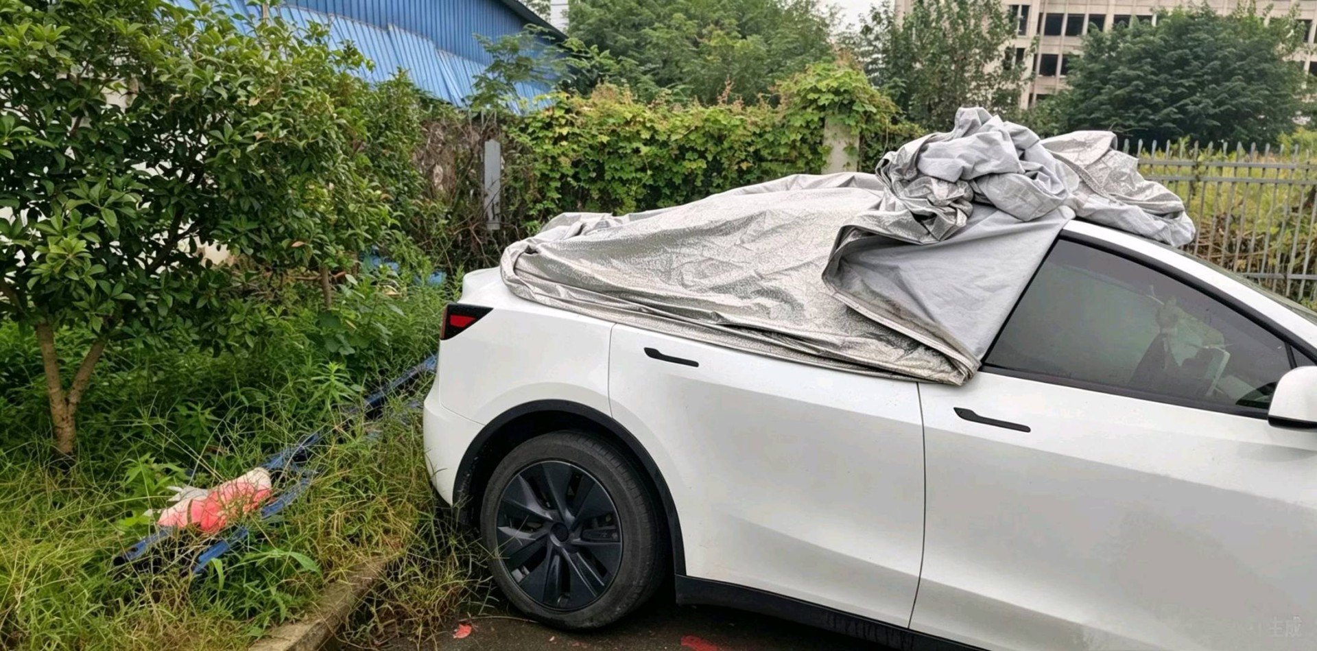 江苏24年特斯拉MODEL Y12