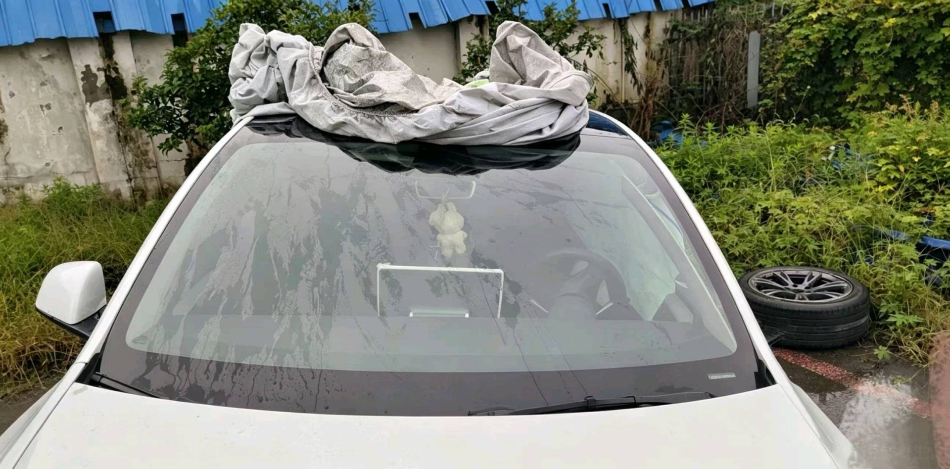 江苏24年特斯拉MODEL Y3