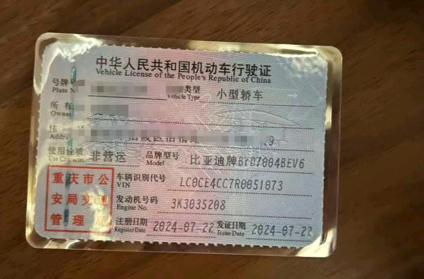 重庆24年比亚迪海豚9