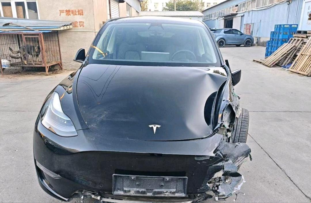 北京24年特斯拉MODEL Y