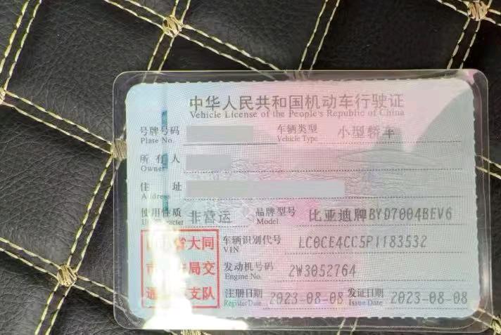 大同市23年比亚迪海豚6