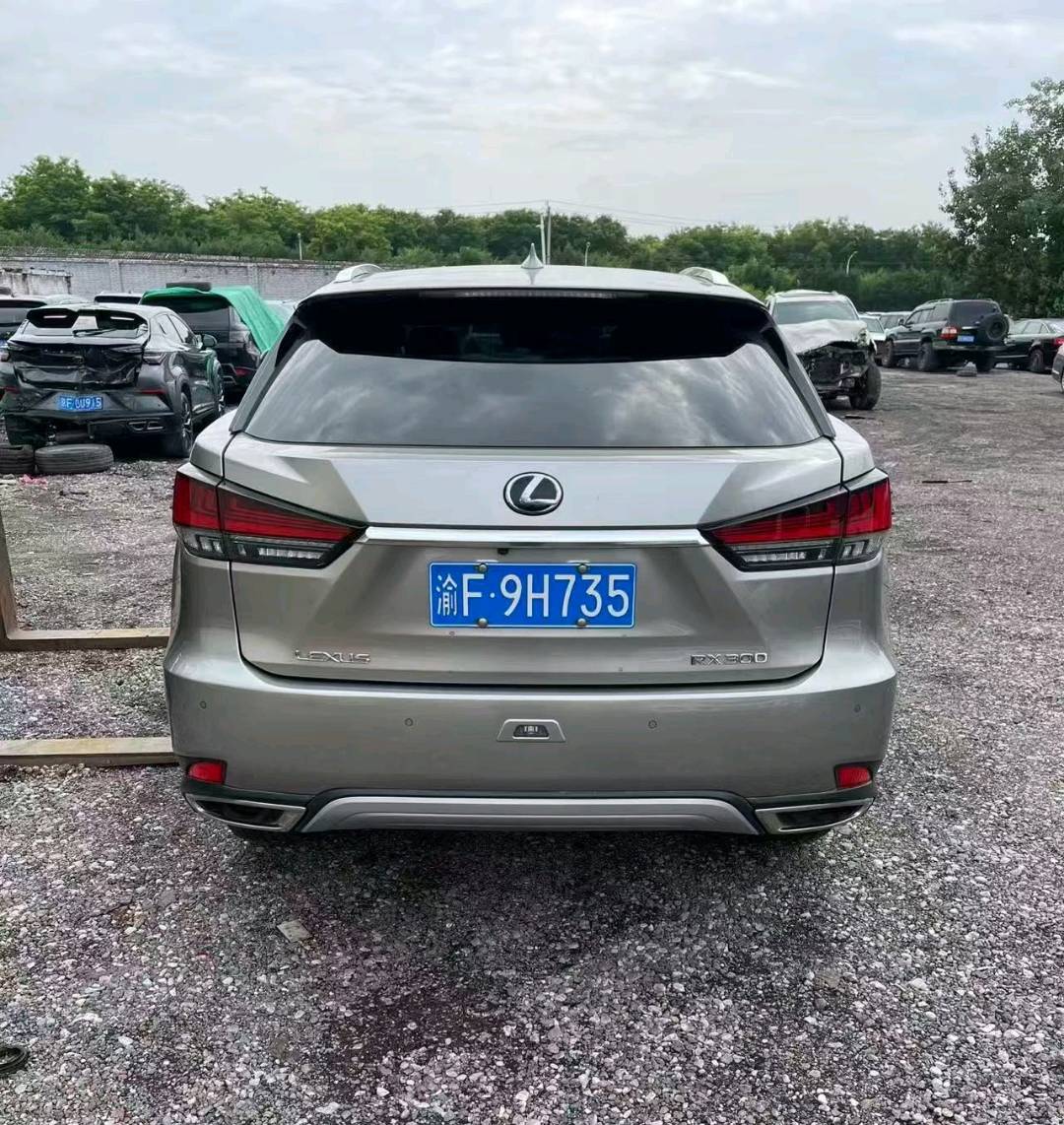 北京21年雷克萨斯RX5