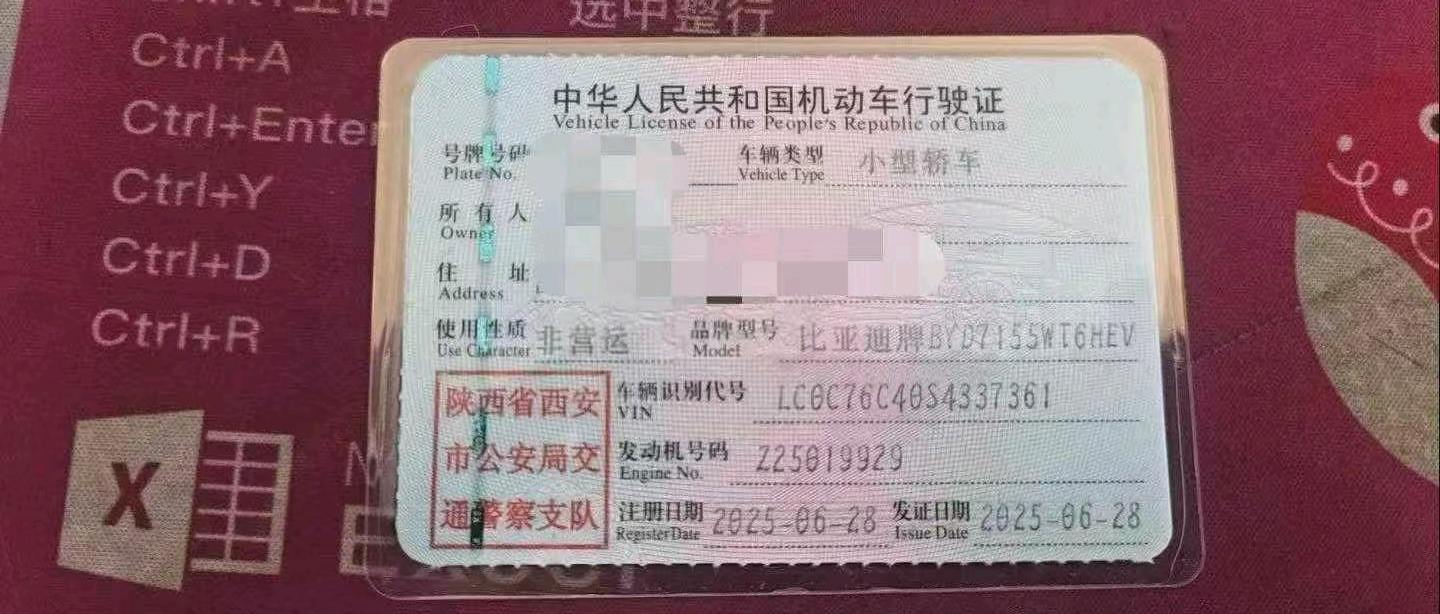 榆林市25年比亚迪秦PLUS9