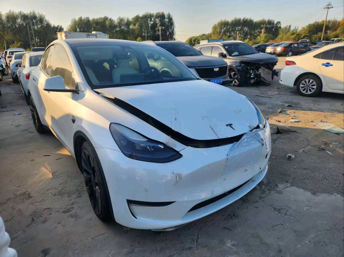 沈阳市22年特斯拉MODEL Y10